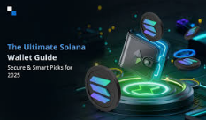 Solana Wallet Login